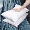 imageUtopia Bedding Throw Pillows Insert Pack of 2 White  18 x 18 Inches Bed and Couch Pillows  Indoor Decorative PillowWhite