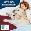 imageUtopia Bedding Waterproof Mattress Protector Twin Size Premium Terry Mattress Cover 200 GSM Breathable Fitted Style with Stretchable Pockets WhiteBurgundy