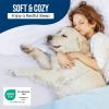 imageUtopia Bedding Waterproof Mattress Protector Twin Size Premium Terry Mattress Cover 200 GSM Breathable Fitted Style with Stretchable Pockets WhiteWhite