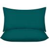 Dark Teal