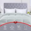 imageUtopia Bedding Comforters Queen Size All Season Duvet Insert Down Alternative Box Stitched Bed Comforter with Corner Tabs Machine Washable WhiteLight Grey