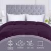 imageUtopia Bedding Comforters Queen Size All Season Duvet Insert Down Alternative Box Stitched Bed Comforter with Corner Tabs Machine Washable WhitePlum