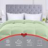 imageUtopia Bedding Comforters Queen Size All Season Duvet Insert Down Alternative Box Stitched Bed Comforter with Corner Tabs Machine Washable WhiteSage Green