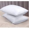 imageUtopia Bedding Waterproof Pillow Protectors Zippered 2 Pack White Standard Size Zippered Pillowcases Bed Bug Proof Pillow Encasement Covers 20 x 26 InchesWhite
