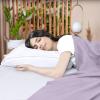 imageUtopia Bedding Flat Sheet  1 Pack Queen White  Soft Brushed Microfiber Fabric  Shrinkage ampamp Fade Resistant Top Sheet  Easy Care Bed SheetLavender