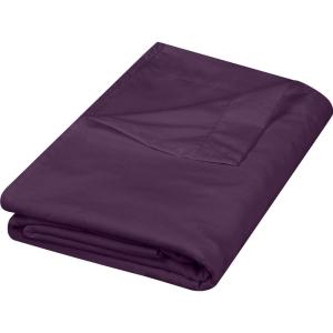imageUtopia Bedding Flat Sheet  1 Pack Queen White  Soft Brushed Microfiber Fabric  Shrinkage ampamp Fade Resistant Top Sheet  Easy Care Bed SheetPurple