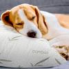 imageUtopia Bedding Bamboo Viscose Waterproof Pillow Protector Zippered 2 Pack Standard  Bed Bug Proof Pillow Encasement 20 x 26 InchesStandard
