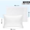 imageUtopia Bedding Queen Pillow Cases  2 Pack  Envelope Closure  Soft Brushed Microfiber Fabric  Shrinkage and Fade Resistant Pillow Covers 20 X 30 Inches Queen GreyWhite
