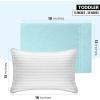 imageUtopia Bedding Queen Pillow Cases  2 Pack  Envelope Closure  Soft Brushed Microfiber Fabric  Shrinkage and Fade Resistant Pillow Covers 20 X 30 Inches Queen GreySpa Blue