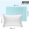 imageUtopia Bedding Queen Pillow Cases  2 Pack  Envelope Closure  Soft Brushed Microfiber Fabric  Shrinkage and Fade Resistant Pillow Covers 20 X 30 Inches Queen GreySpa Blue