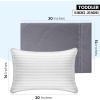 imageUtopia Bedding Queen Pillow Cases  2 Pack  Envelope Closure  Soft Brushed Microfiber Fabric  Shrinkage and Fade Resistant Pillow Covers 20 X 30 Inches Queen GreyGrey