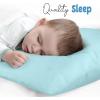 imageUtopia Bedding Queen Pillow Cases  2 Pack  Envelope Closure  Soft Brushed Microfiber Fabric  Shrinkage and Fade Resistant Pillow Covers 20 X 30 Inches Queen GreySpa Blue