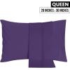 imageUtopia Bedding Queen Pillow Cases  2 Pack  Envelope Closure  Soft Brushed Microfiber Fabric  Shrinkage and Fade Resistant Pillow Covers 20 X 30 Inches Queen GreyEgg Plant