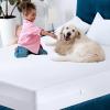 imageUtopia Bedding Zippered Mattress Encasement Queen 100 Waterproof Bed Bug and Dust Mite Proof Mattress Protector Absorbent SixSided Mattress Cover2