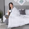 imageUtopia Bedding All Season Down Alternative Quilted Queen Comforter Duvet Insert with Corner Tabs Machine Washable Bed Comforter WhiteWhite