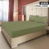 imageUtopia Bedding Twin Fitted Sheets  Bulk Pack of 2 Bottom Sheets  Soft Brushed Microfiber  Deep Pockets  Shrinkage ampamp Fade Resistant  Easy Care Twin BeigeOlive