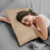 imageUtopia Bedding Waterproof Pillow Protectors with Zipper Standard Size 2 Pack Terry Pillow Covers Bed Bug and Dust Mite ProofBeige