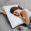 imageUtopia Bedding Waterproof Pillow Protectors with Zipper Standard Size 2 Pack Terry Pillow Covers Bed Bug and Dust Mite ProofWhite