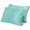 imageUtopia Bedding Waterproof Pillow Protectors Zippered 2 Pack Red Queen Size Zippered Pillowcases Bed Bug Proof Pillow Encasement Covers 20 x 28 InchesSpa Blue