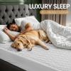 imageUtopia Bedding Waterproof Mattress Protector Twin Size Gray Premium 3D Air Soft Fabric Mattress Cover Fits 15 Inches Deep Breathable Fitted Style with Stretchable PocketsWhite