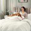 image:imageUtopia Bedding 4 Piece Bedding Set  1 Fitted Sheet 54x75 1 Duvet Cover Full Size 2 Pillow Case 20x30  All Season Luxury Bed in a Bag with Zippered Black Queen Duvet Cover  No ComforterIvory