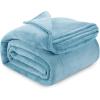 image:imageUtopia Bedding Black Fleece Blanket Throw Size Lightweight Fuzzy Soft AntiStatic Microfiber Bed Blanket 60x50 InchSolid  Washed Blue