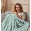 image:imageUtopia Bedding Off White Striped Fleece Blanket Throw Size  Fluffy Warm amp Lightweight Ribbed Throw for Bed Sofa amp Chair  Soft Cozy Blanket for Home Dcor amp Gifting 50x60 InchesSage Green