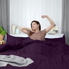 image:imageUtopia Bedding Duvet Cover Queen Size  3 Piece with Zipper Closure  1 Comforter Cover 90X90 Inches amp 2 Pillow Shams 20X26 Inches Ivory Comforter Not IncludedPurple