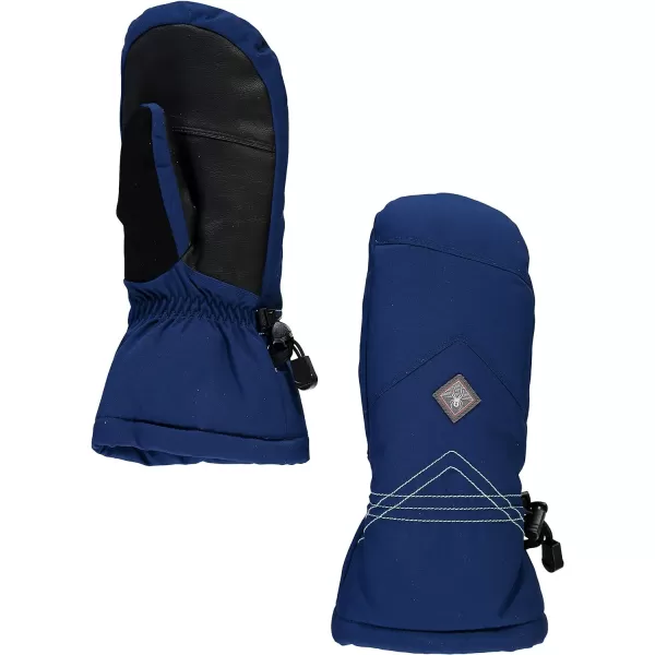 Spyder Active Sports Women's Inspire Ski Mitten