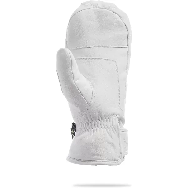 Spyder Active Sports Women's Turret Gore-TEX Ski Glove
