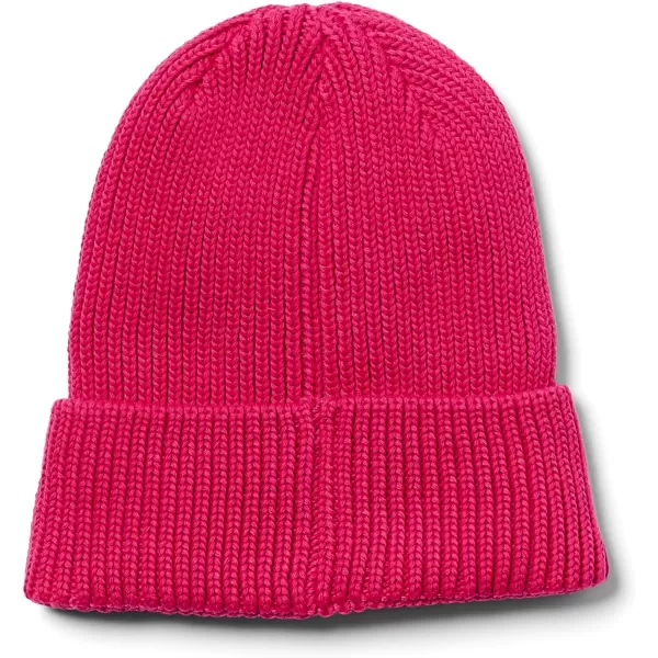 Spyder Boys Youth Link Beanie Hat
