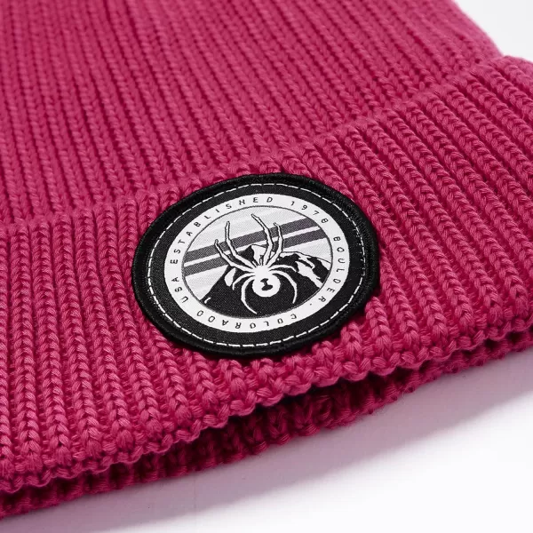 Spyder Boys Youth Link Beanie Hat
