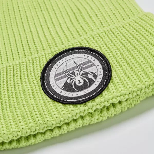 Spyder Boys Youth Link Beanie Hat