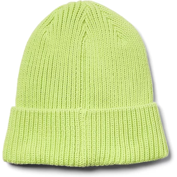 Spyder Boys Youth Link Beanie Hat
