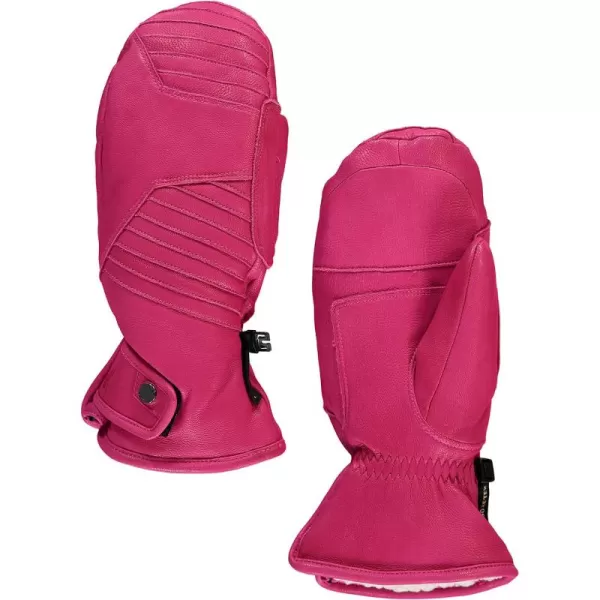 Spyder Active Sports Women's Turret Gore-TEX Ski Glove