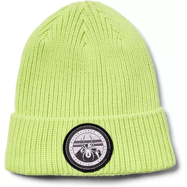 Spyder Boys Youth Link Beanie Hat