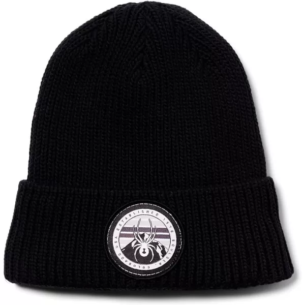 Spyder Boys Youth Link Beanie Hat
