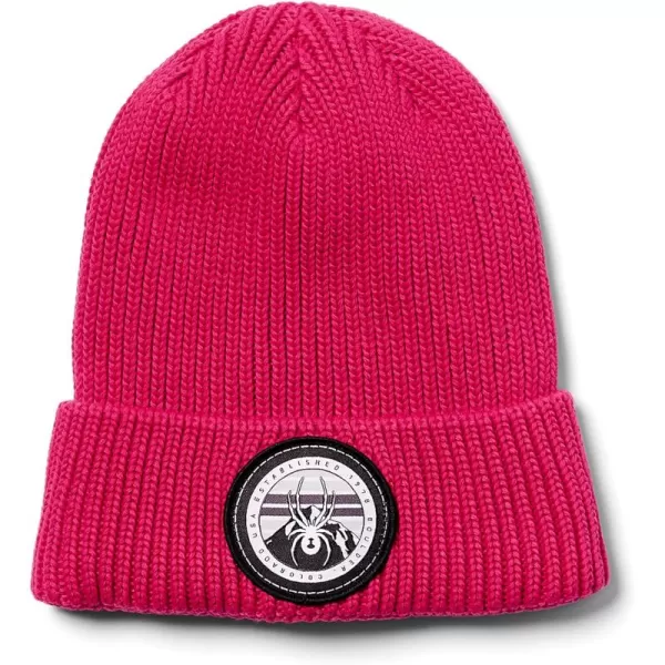Spyder Boys Youth Link Beanie Hat