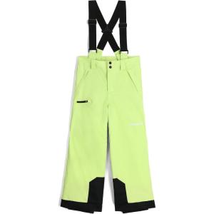 imageSpyder Boys Propulsion PantsLime Ice