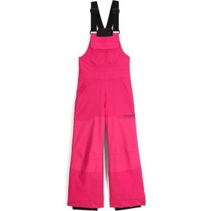 imageSpyder Boys Youth Scout Bib Ski PantsPink