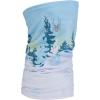 imageSpyder Mens Cruise Tube Ski Neck Gaiter Face Mask Neck WarmerFrost