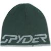 imageSpyder Mens Innsbruck Reversible Ski Winter BeanieCypress Green