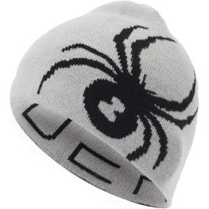 imageSpyder Mens Innsbruck Reversible Ski Winter BeanieAlloyBlack