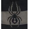 imageSpyder Mens Shelby Lined BeanieBlackPolar S1