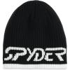 imageSpyder Mens Logo Ski BeanieBlack