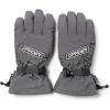 imageSpyder Mens Overweb Goretex GlovesPolar