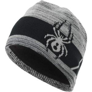 imageSpyder Mens Shelby Lined BeanieAlloyBlack