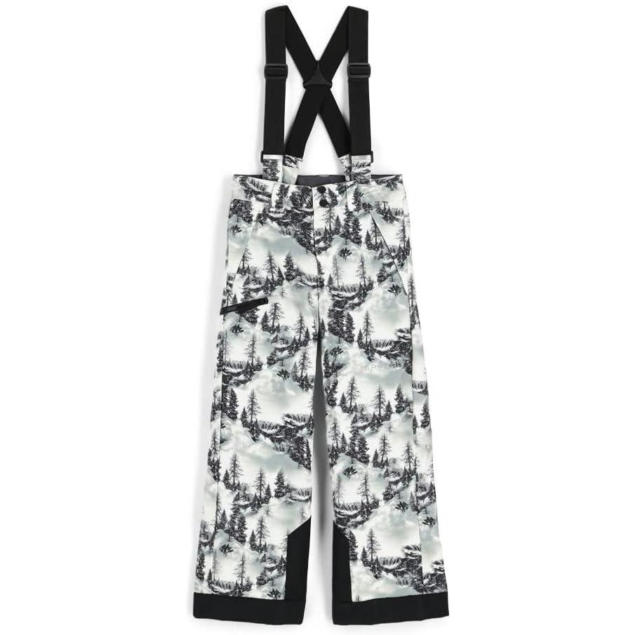 imageSpyder Boys Boys Propulsion Ski PantsTree Line