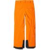 imageSpyder Boys Boys Propulsion Ski PantsExuberanceBlack