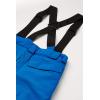 imageSpyder Boys Boys Propulsion Ski PantsOld Glory